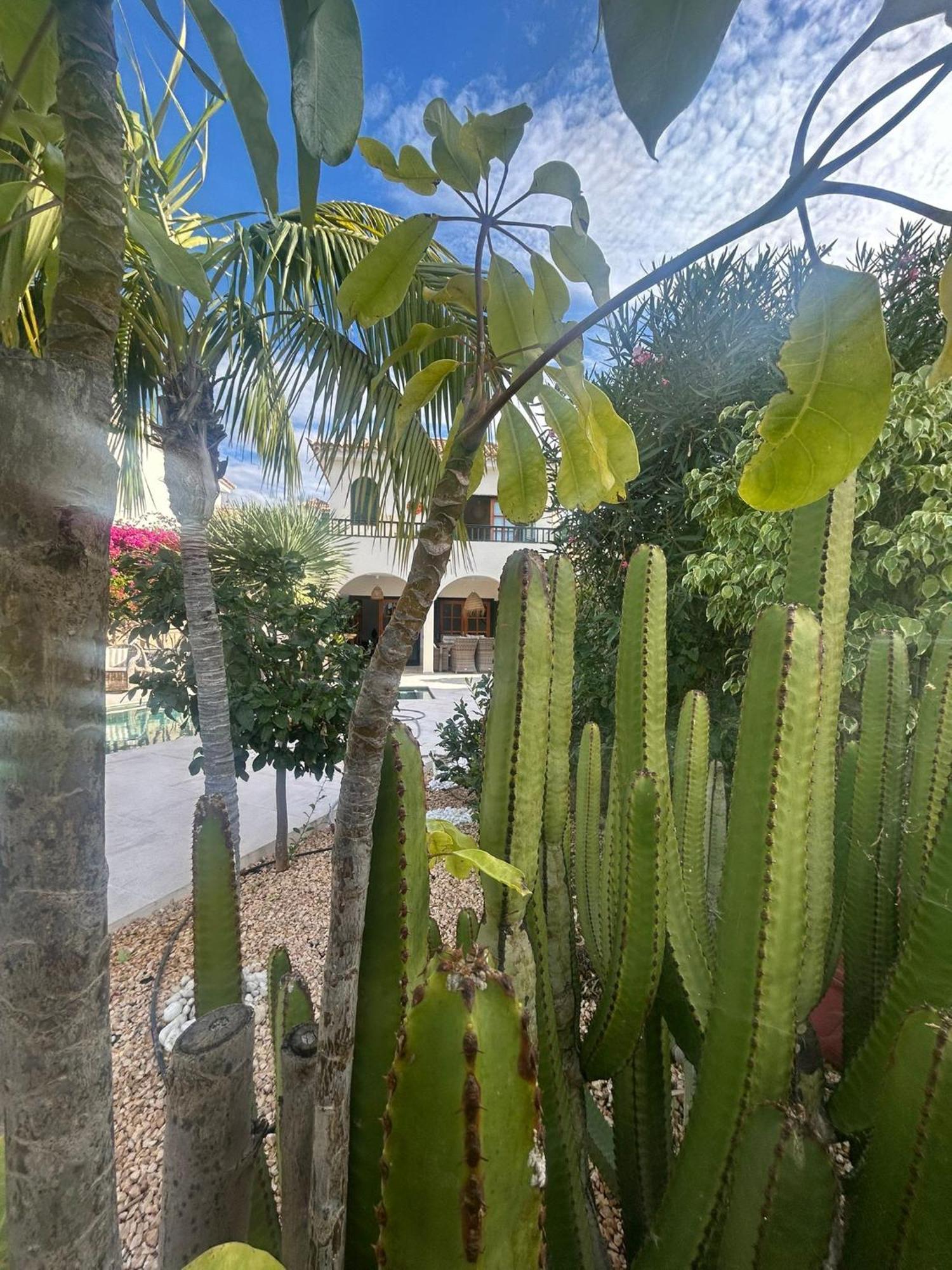 Villa Ibiza - Beautiful House With Private Pool Chayofa Εξωτερικό φωτογραφία
