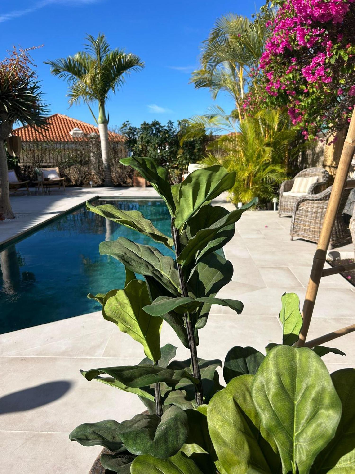 Villa Ibiza - Beautiful House With Private Pool Chayofa Εξωτερικό φωτογραφία